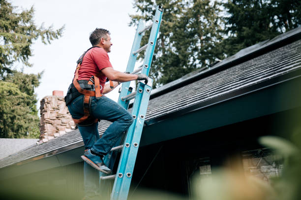 Best Roof Repair  in Winsted, MN